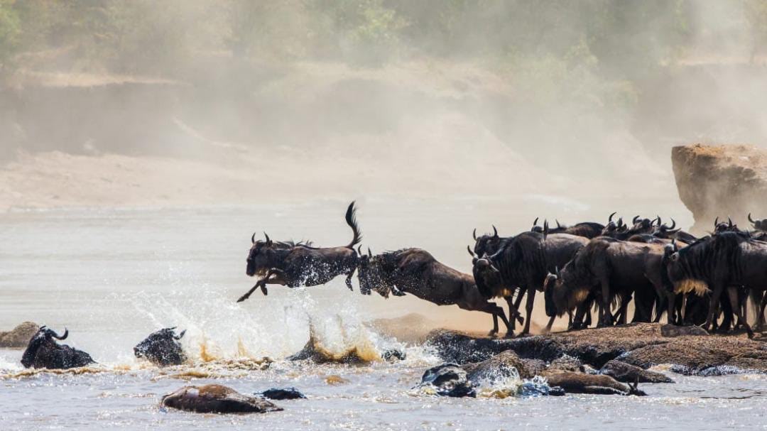 About Tanzania