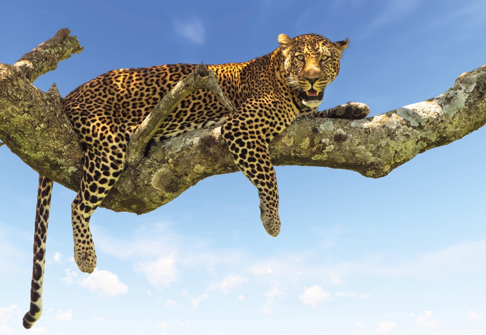 About Tanzania
